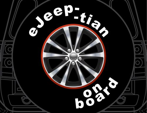 Distressed Star Badge Custom Tire Cover
