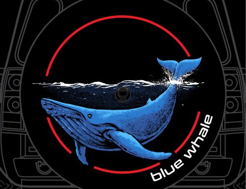 Solo Wander Compass Custom Tire Cover