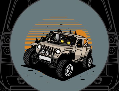 WRS Distressed Star Custom Tire Cover