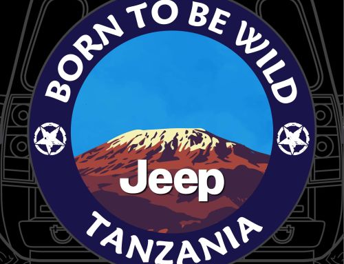 Blue Fire Bull Custom Tire Cover