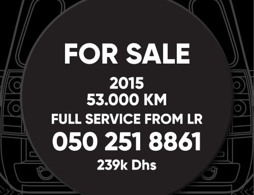 For Sale Custom Tire Cover