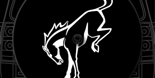 Bronco horse silhouette custom tire cover with bold design and branding.