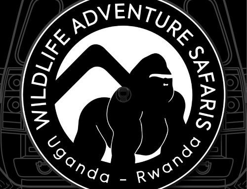 Wildlife Adventure Safaris Custom Tire Cover