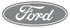 Ford Icon