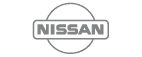 Nissan Icon